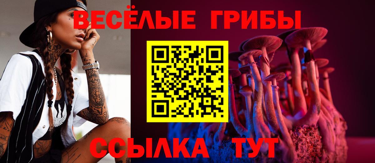 Псилоцибиновые грибы Magic Shrooms  Вход с VPN  Кстово 