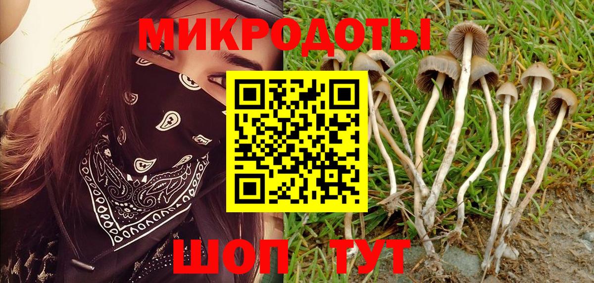 Псилоцибиновые грибы Magic Shrooms Кстово